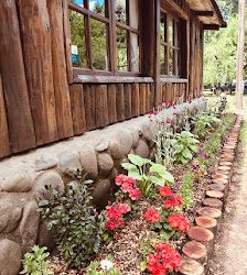 Camping La Chacra (Río Negro en Merlo San Luis)