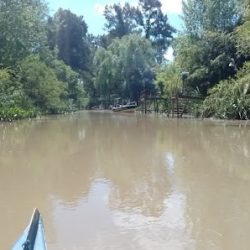 Cabañas De La Selva (Buenos Aires en Merlo San Luis)