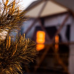 Domos Kairos Glamping (Córdoba en Merlo San Luis)
