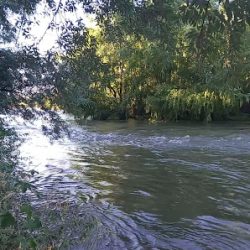 Camping Barda Del Medio, Rio Negro (Río Negro en Merlo San Luis)